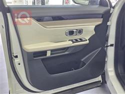 جيتور داشينج